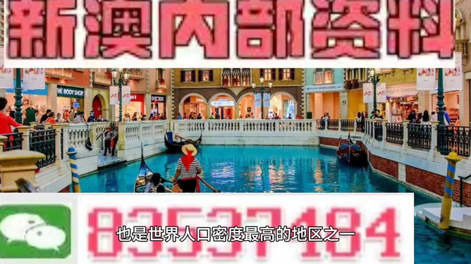 澳門王中王正版游戲，探索未來的新篇章（2025年展望），澳門王中王正版游戲，探索未來新篇章，展望2025年發(fā)展