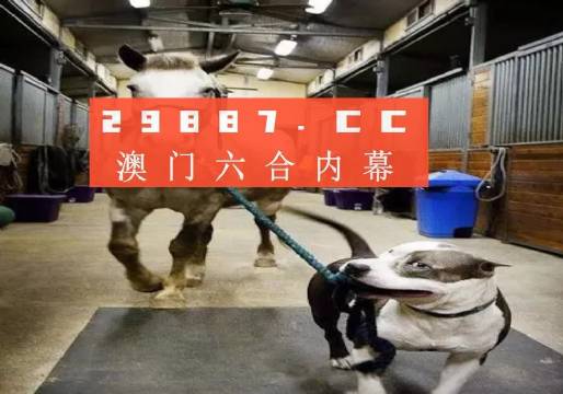 澳門一肖一碼一必中一肖，同舟前進(jìn)的奧秘與策略，澳門一肖一碼必中策略與前進(jìn)奧秘，同舟共濟(jì)的揭秘與策略
