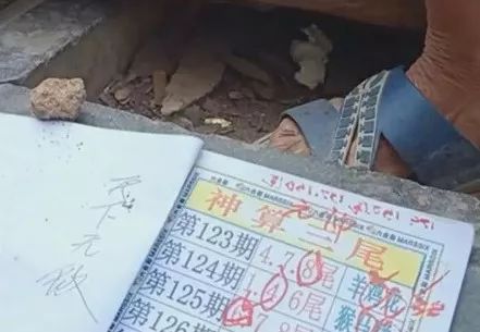 香港中特期期準資料，深度解析與探索，香港中特期期準資料深度解析與探索報告