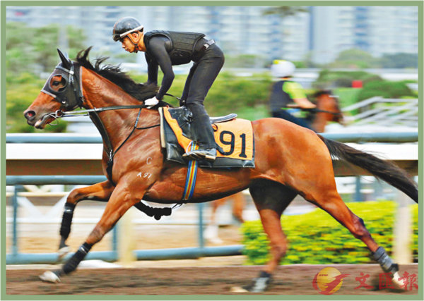香港賽馬，探索數(shù)字背后的激情與榮耀，香港賽馬，數(shù)字背后的激情與榮耀之旅