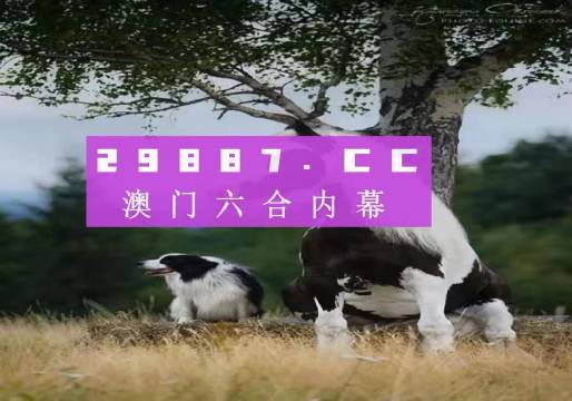 澳門天天空彩官網(wǎng)資料，探索彩票世界的門戶，澳門天天空彩官網(wǎng)資料，彩票世界探索門戶
