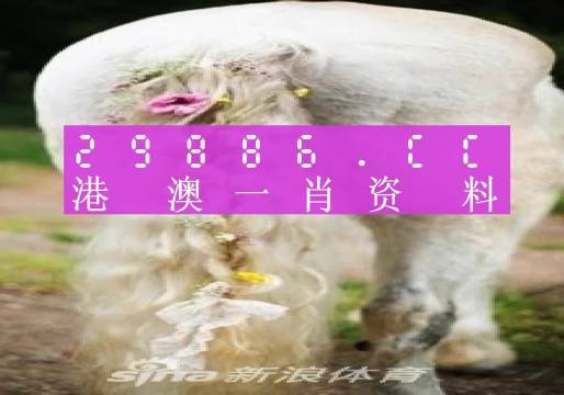 澳門羊了個(gè)羊與各大圖庫的資料揭秘，2023年澳門今晚必中一肖一碼永久免費(fèi)資料庫大解密，澳門羊了個(gè)羊與資料庫揭秘，2023年必中一肖一碼永久免費(fèi)資料大解密