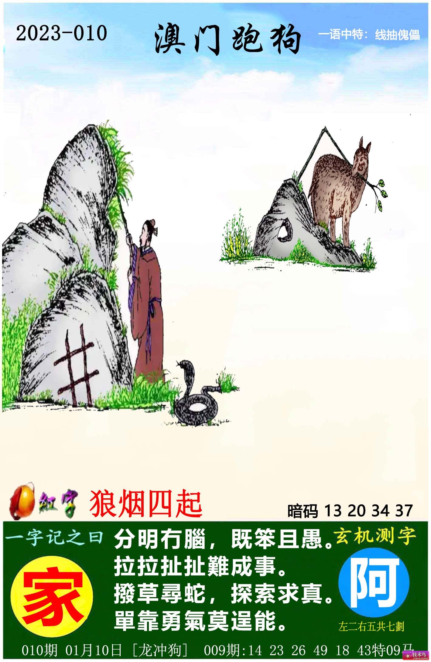 跑狗圖8888精準正版，探索正版跑狗圖的魅力與重要性，正版跑狗圖8888的魅力與重要性探索