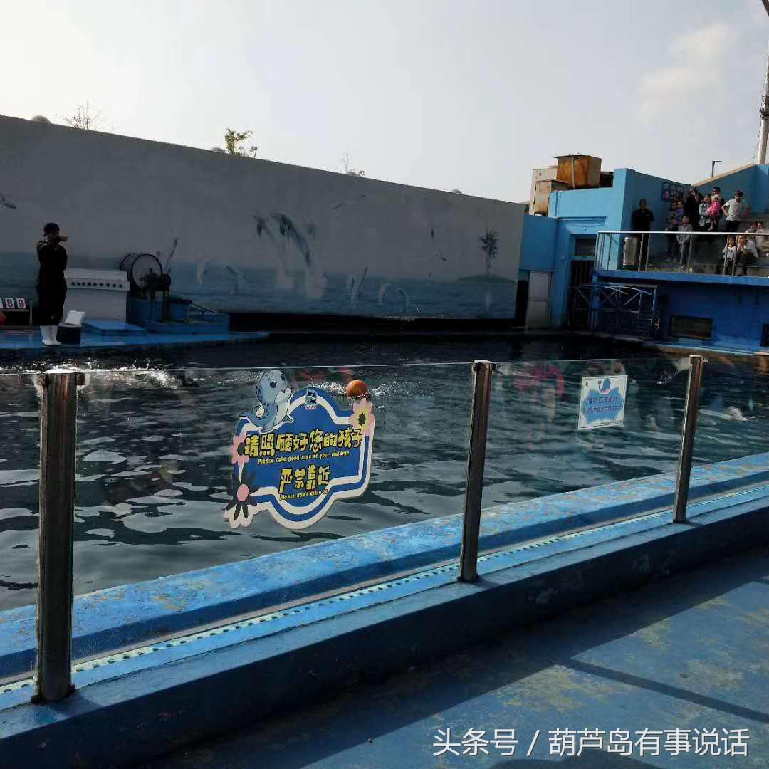 香港 第99頁