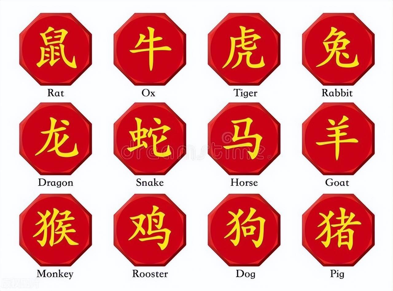 新澳特碼，羊?；⒏鲾?shù)10——揭秘背后的數(shù)字奧秘，揭秘新澳特碼數(shù)字奧秘，羊?；⒏鲾?shù)背后的秘密