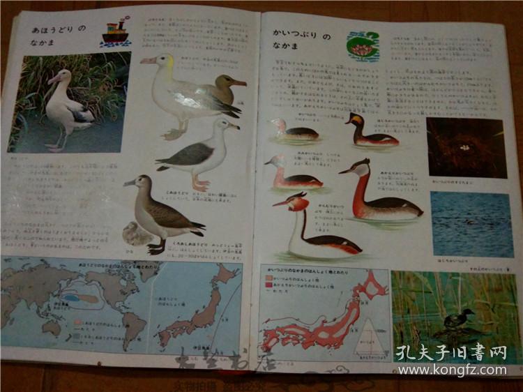 今日正版跑狗圖分享，探索7777788888跑狗圖的魅力，今日正版跑狗圖分享，探索魅力十足的777778跑狗圖