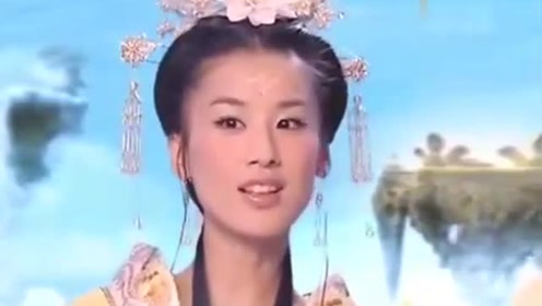 曾道道人資料免費(fèi)大全，深度探索與解析，曾道道人資料深度解析與免費(fèi)大全探索