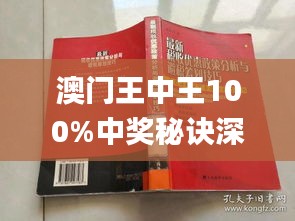 新澳門王中王期期中，探索與解析，新澳門王中王期期中，深度探索與解析