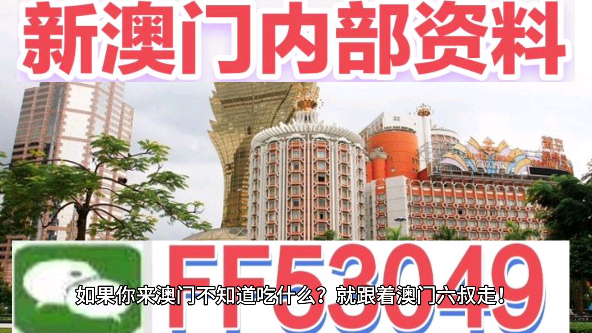 澳門(mén)今晚特馬生肖預(yù)測(cè)，探尋未來(lái)的幸運(yùn)符號(hào)（2025年），澳門(mén)生肖預(yù)測(cè)揭秘，探尋未來(lái)幸運(yùn)符號(hào)（特馬生肖預(yù)測(cè) 2025年展望）