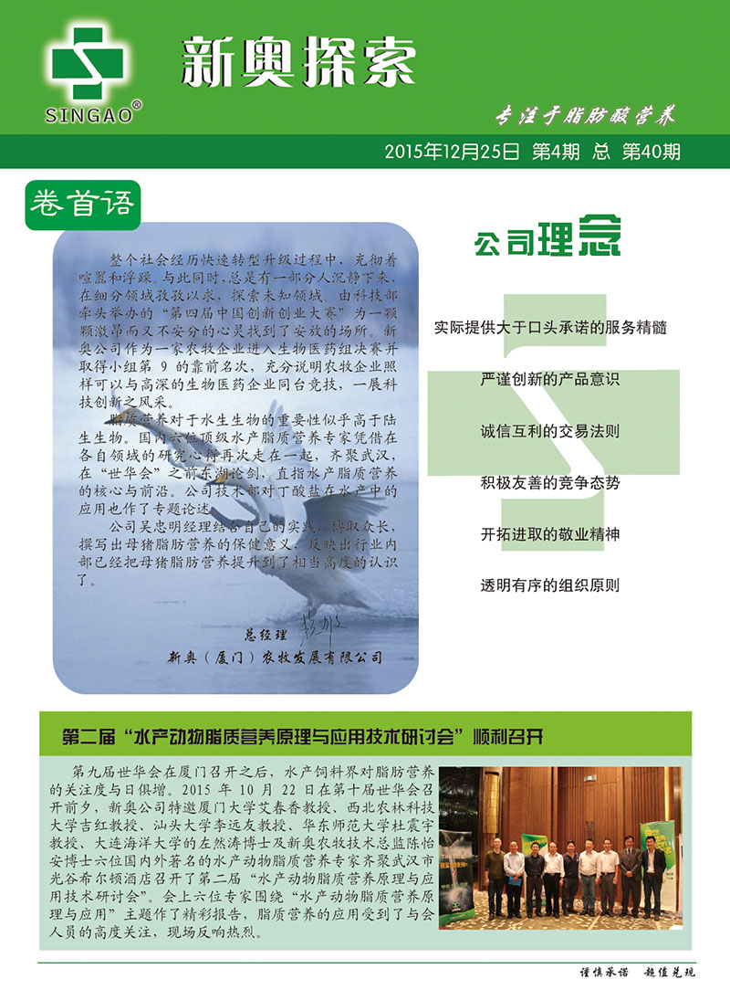 2025新澳正版資料查詢指南，2025新澳正版資料查詢手冊(cè)