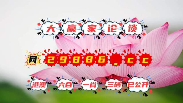 揭秘4887王中王精準資料，全方位解讀，洞悉其獨特魅力，揭秘，全方位解讀王中王精準資料，洞悉其獨特魅力
