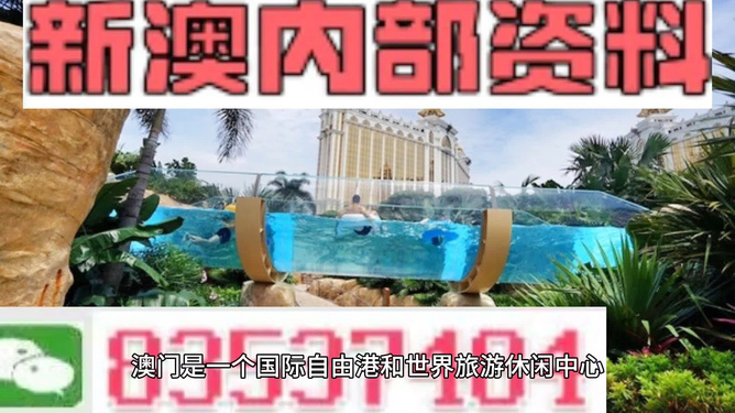 新澳的資料去哪里找——全面指南，新澳資料全攻略，尋找資料的途徑與指南