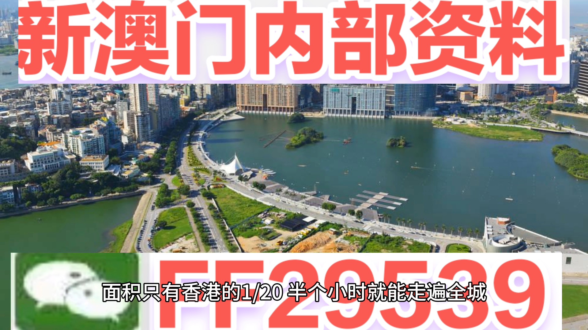 澳門特碼，探索其背后的秘密與魅力，澳門特碼背后的秘密與魅力探索