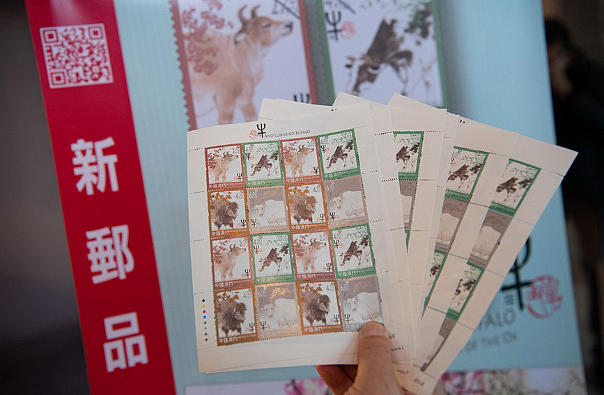澳門值日生肖600圖庫與八百圖庫開獎，探索生肖圖庫的魅力與奧秘，澳門生肖圖庫開獎揭秘，探索值日生肖600圖庫與八百圖庫的魅力與奧秘