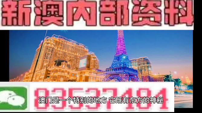 新澳門精準(zhǔn)800圖庫，探索與解析，新澳門精準(zhǔn)800圖庫，深入探索與詳細解析