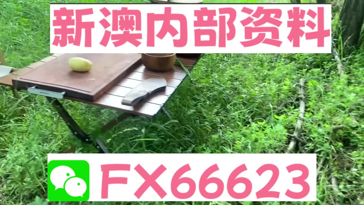 新奧特碼走勢圖解析與預(yù)測，新奧特碼走勢圖解析與預(yù)測，未來趨勢探討