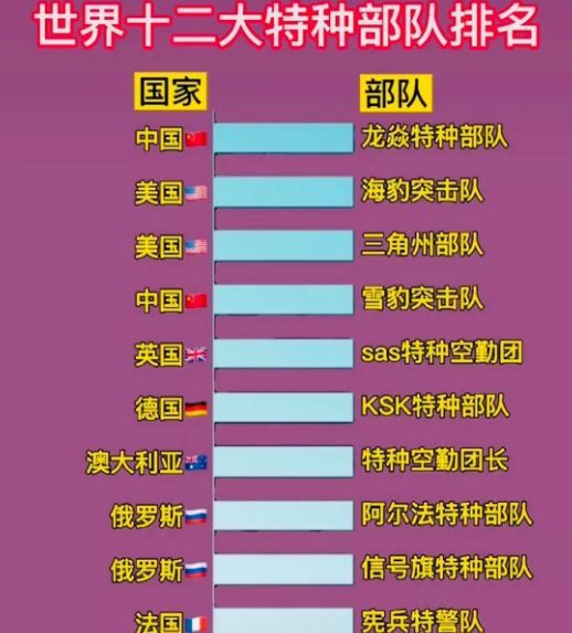 中國(guó)十大王牌特種部隊(duì)，實(shí)力與榮耀的象征，中國(guó)十大王牌特種部隊(duì)，實(shí)力與榮耀的巔峰標(biāo)志