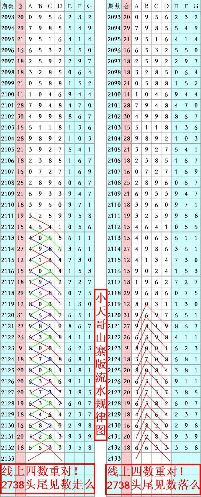 王中王四肖八碼必中秘籍與技巧探索，王中王四肖八碼必中秘籍揭秘與技巧探索