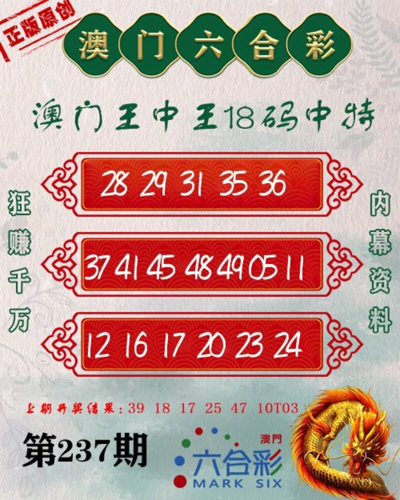 新澳門王中王期期中，探索與解析，新澳門王中王期期中，深度探索與解析