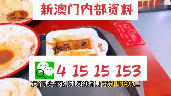 澳門王中王六碼新澳門，探索與解析，澳門王中王六碼新澳門，深度探索與解析