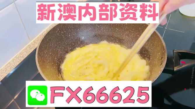 澳門九點半9點半網(wǎng)站——探索與體驗，澳門九點半網(wǎng)站，探索與體驗之旅