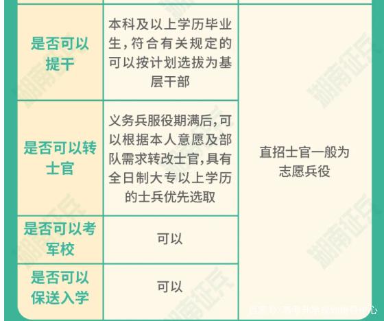 士官直招與義務(wù)兵的區(qū)別，深入了解軍隊招募制度，直招士官與義務(wù)兵招募制度深度解析，軍隊招募制度詳解