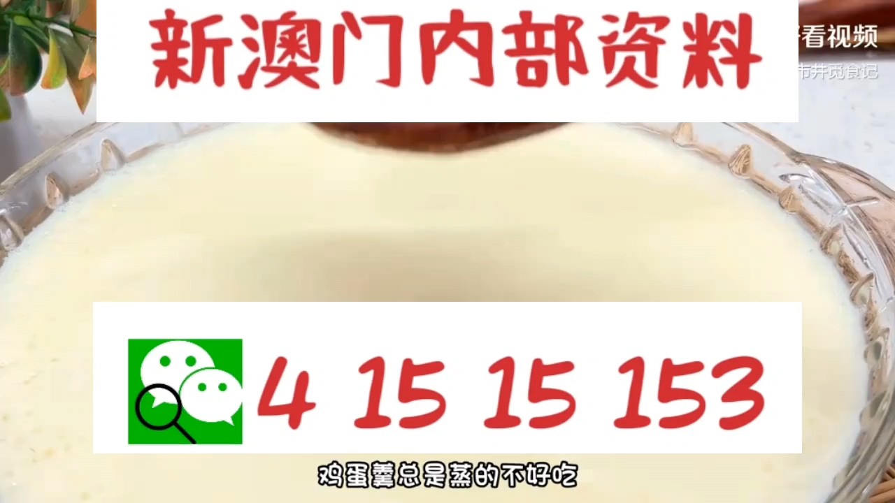 新澳門中特網(wǎng)中特馬，探索與解析，澳門中特馬探索與解析指南