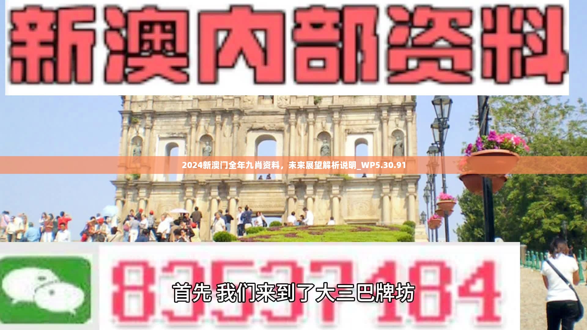 新澳門精準(zhǔn)九肖，揭秘預(yù)測技巧與策略，揭秘新澳門精準(zhǔn)九肖預(yù)測技巧與策略