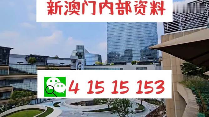 新澳門單雙，探索數字世界的奧秘與魅力，澳門數字世界的奧秘與魅力探索，單雙數的奇幻之旅