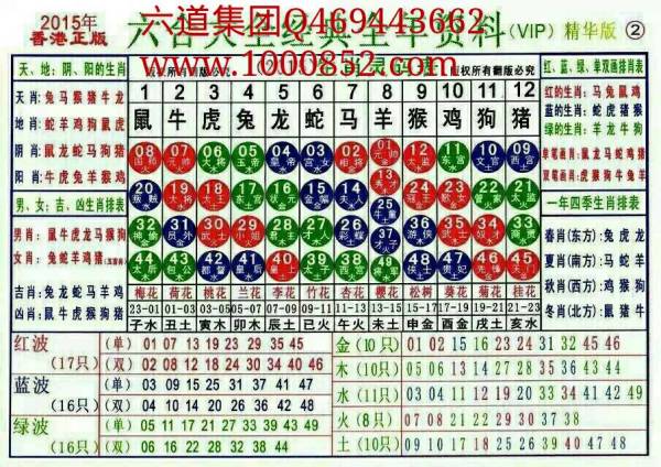 揭秘2024十二生肖49碼表——完整指南，揭秘十二生肖49碼表全攻略，2024年最新版指南