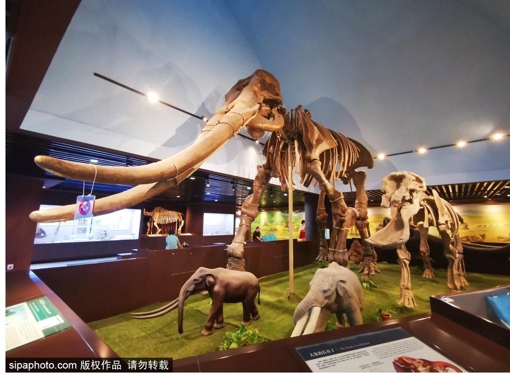 北京必去的十大博物館——探尋千年文化的精華之旅，北京必游十大博物館，千年文化精華之旅探尋記