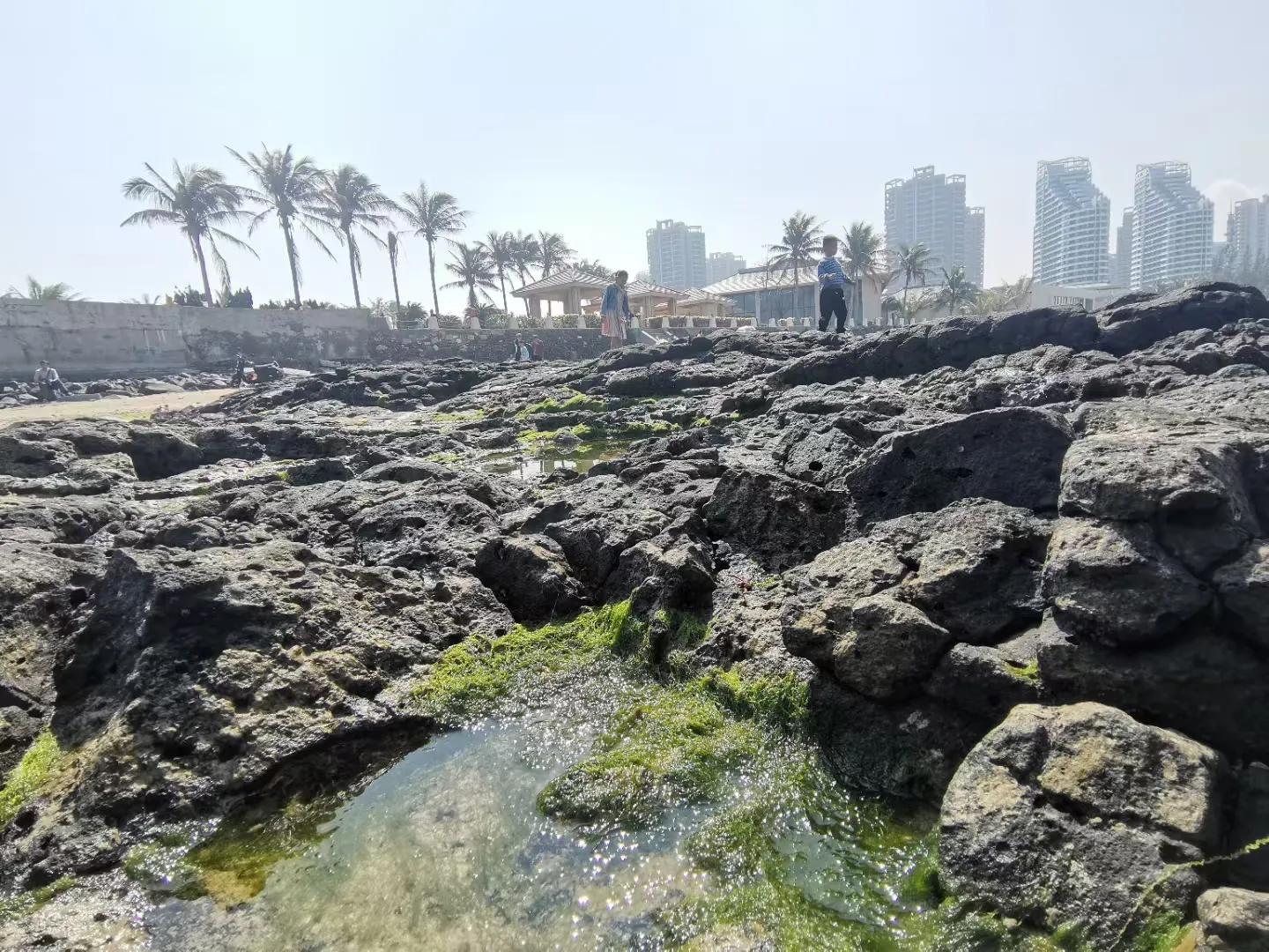 解放海南島電視劇全集下載，探尋30集完整劇情，解放海南島電視劇全集下載，探尋完整的30集劇情探索