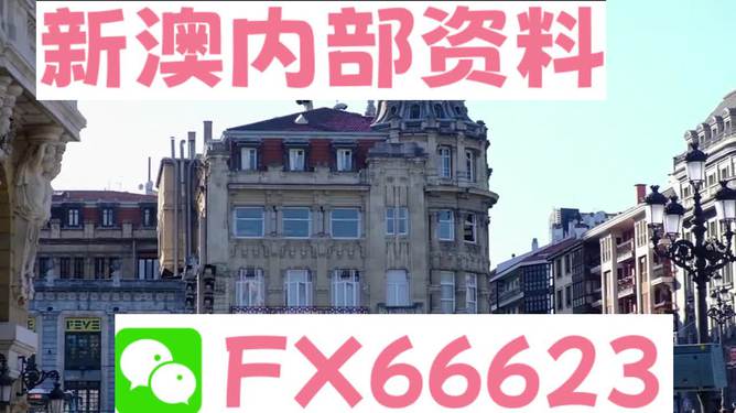 澳門六資料大全，深度探索與揭秘，澳門六資料大全，深度探索與揭秘之旅