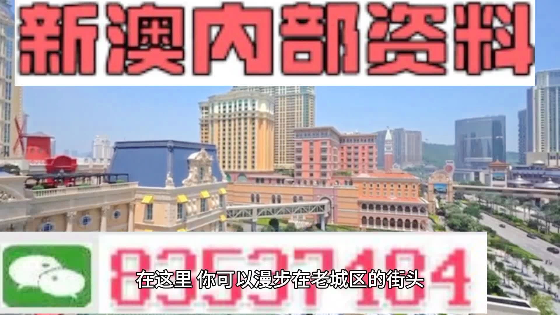 新澳門期期準(zhǔn)精準(zhǔn)，探索澳門的未來與SEO策略，澳門未來展望與SEO策略探索，精準(zhǔn)瞄準(zhǔn)新機遇