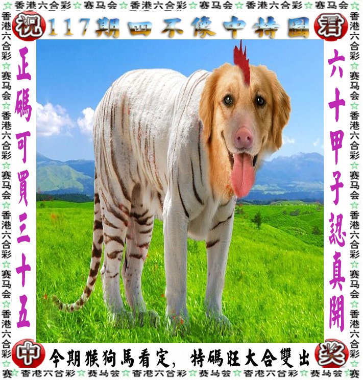 王中王四不像一肖論壇，探索神秘論壇的世界，王中王四不像一肖論壇，神秘論壇世界的探索之旅