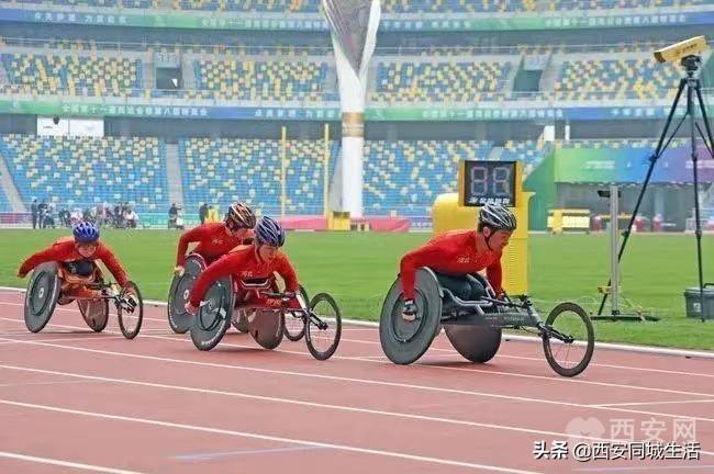 2025年澳門精準(zhǔn)免費大全——全面解析澳門未來展望與特色體驗，澳門未來展望與特色體驗解析，澳門精準(zhǔn)免費大全（2025版）