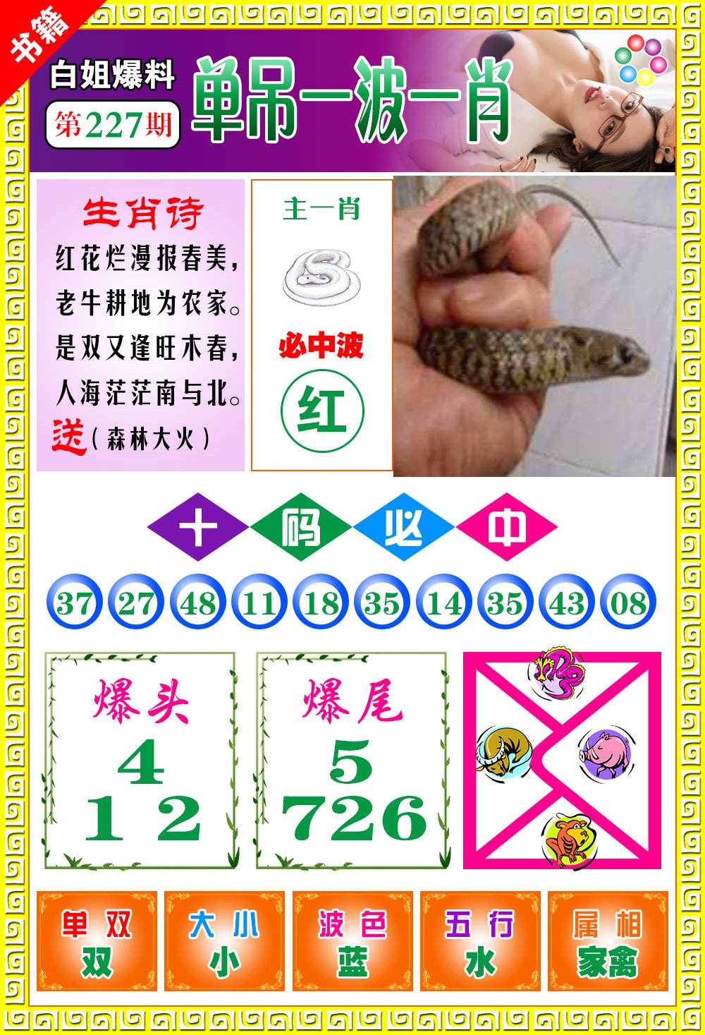王中王100期期一肖，深度解析與SEO優(yōu)化策略，王中王100期期一肖深度解析與SEO策略全解析