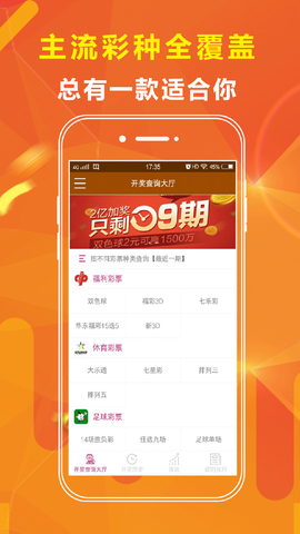 王中王正版一肖資料大全，深度解析與探索，王中王正版一肖資料大全，深度剖析與探索