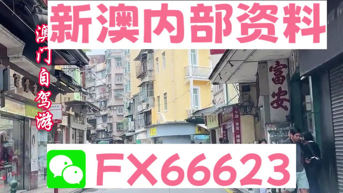 新澳精準(zhǔn)資料免費(fèi)提供，探索與解析，新澳精準(zhǔn)資料解析與探索，免費(fèi)提供的深度解讀
