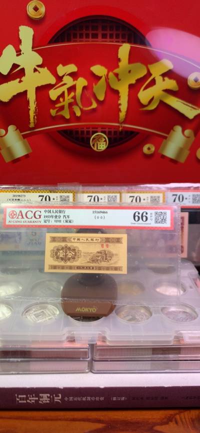 王中王致家一肖，解析背后的故事與奧秘，揭秘王中王致家一肖背后的故事與奧秘