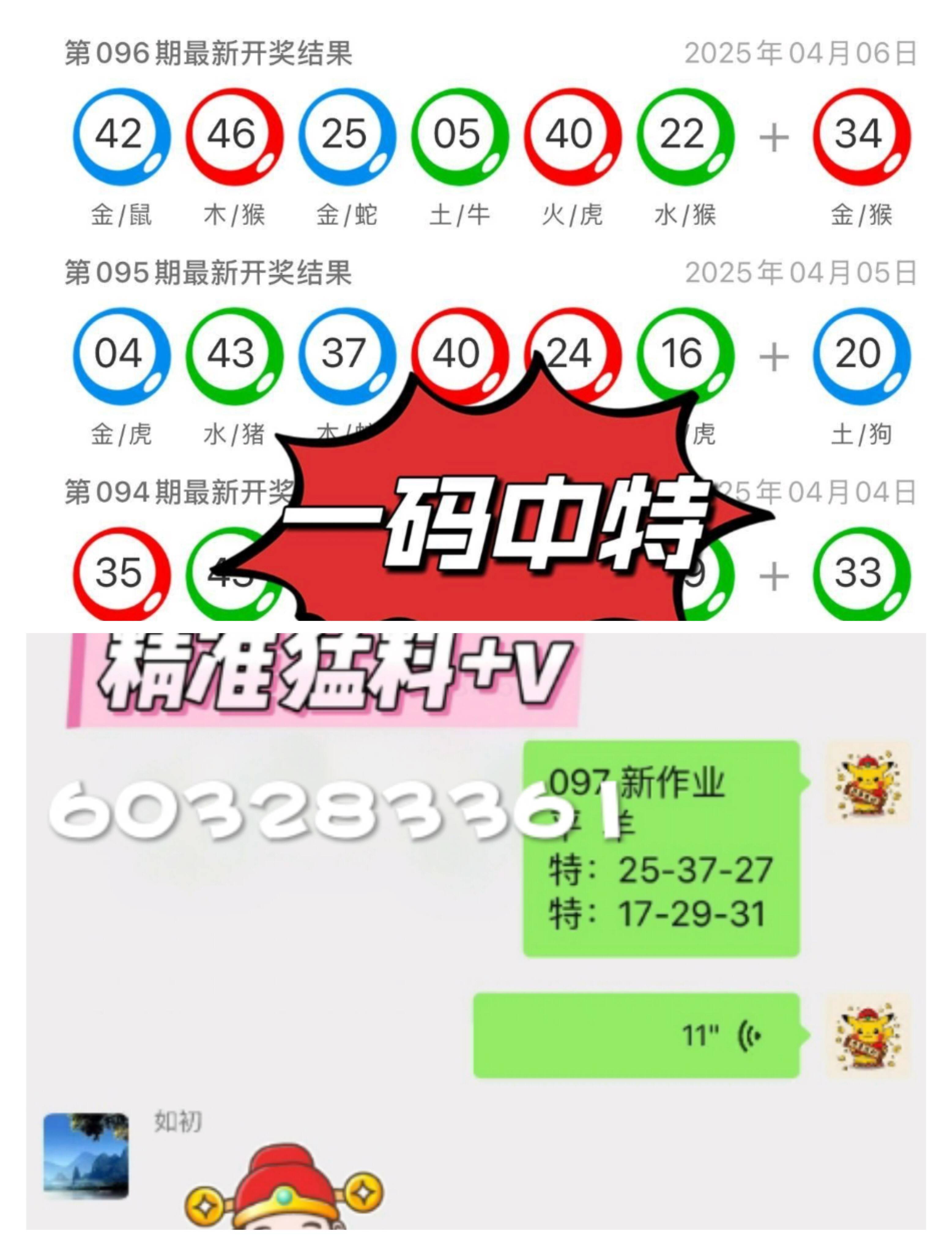 澳門一肖一碼中的奧秘與探索，澳門一肖一碼中的奧秘揭秘與探索之旅