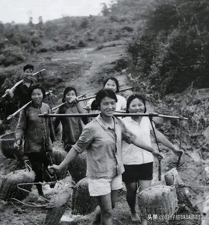 關(guān)于49圖庫圖片資料的專業(yè)解析與探索，49圖庫圖片資料深度解析與探索