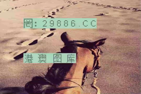 香港特馬資料王中王24期，深度解析與探索，香港特馬資料王中王深度解析與探索，第24期探索之旅