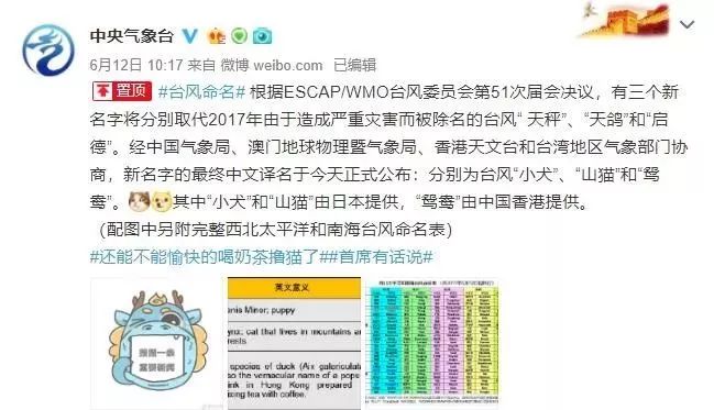 新澳門必中三肖三碼三期必開劉伯，揭秘彩票背后的秘密與策略，揭秘彩票背后的秘密與策略，劉伯的新澳門三期必開三肖三碼預(yù)測技巧