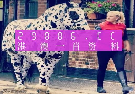 香港網(wǎng)址王中王一肖中特，探索與解析，香港網(wǎng)址王中王一肖中特，深度探索與解析