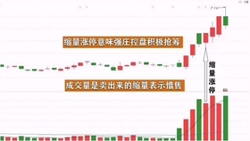 王中王一肖平碼，揭秘背后的故事與SEO策略，王中王一肖平碼背后的故事與SEO策略揭秘