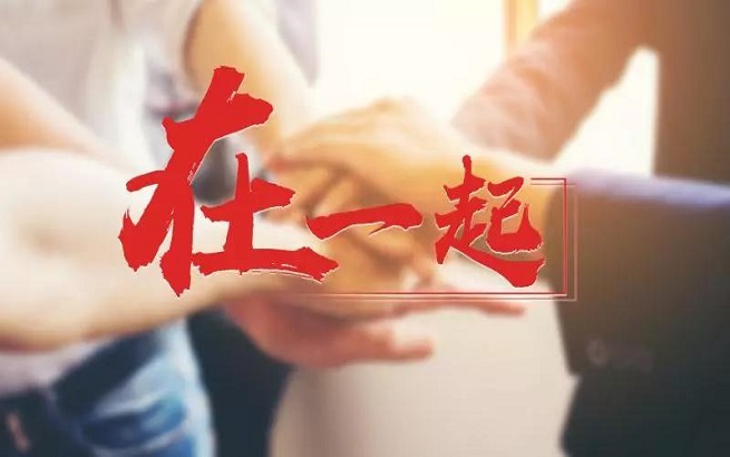 王中王一字一句解一肖——深度解析生肖奧秘，深度解析生肖奧秘，王中王揭示生肖秘密