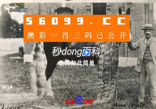 澳門王中王心水王中王，探索與解析，澳門王中王心水奧秘，深度探索與解析