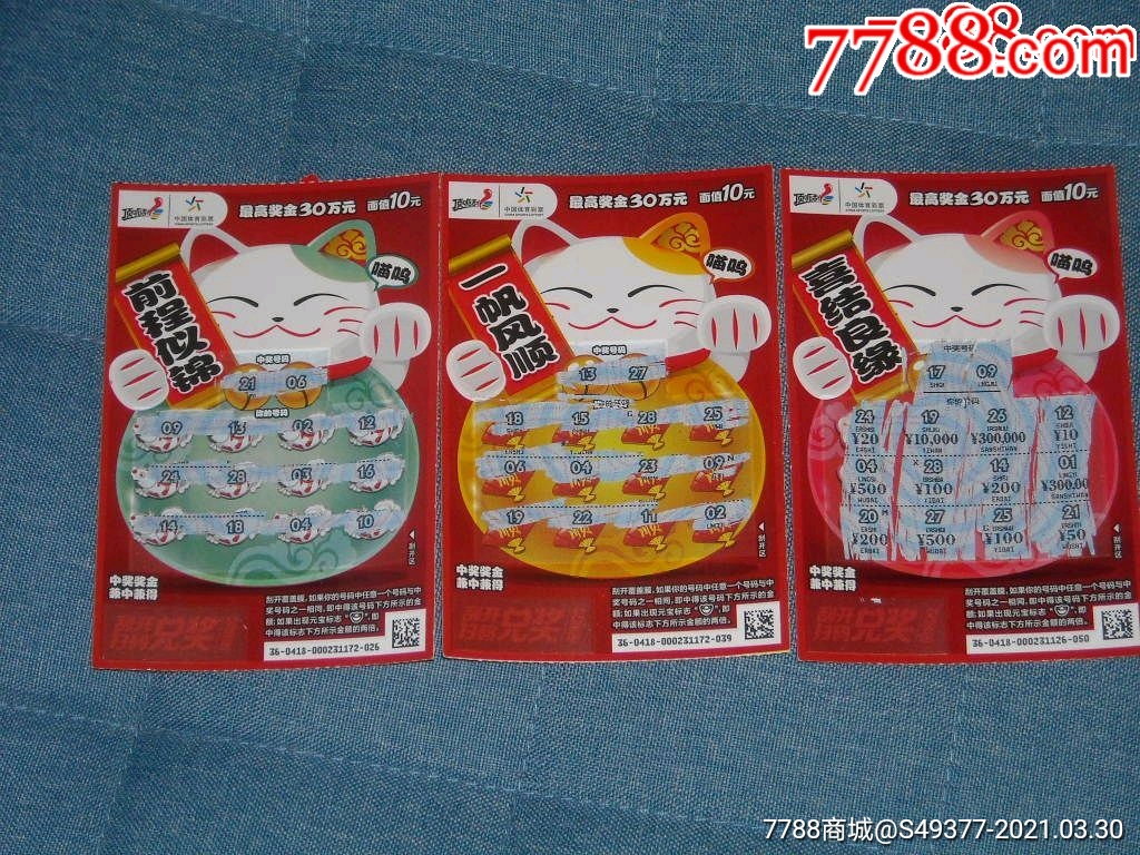 揭秘王中王資料一肖中特y招財貓，真相與秘密，揭秘王中王資料與招財貓，真相與秘密探索