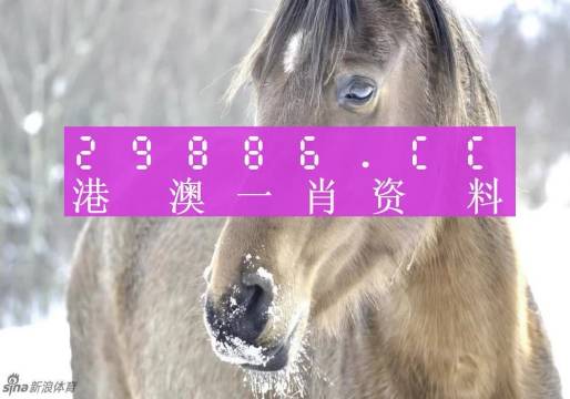 澳門一肖一碼背后的故事，一個(gè)關(guān)于精準(zhǔn)預(yù)測(cè)與傳奇的揭秘，澳門一肖一碼傳奇背后的精準(zhǔn)預(yù)測(cè)與揭秘之旅